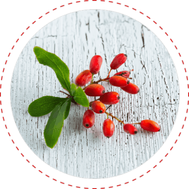 CardioNEX Glucose Management